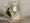 Capital Mark Tower - Interior - ["Toilet seat", "Flooring", "Toilet"] thumbnail