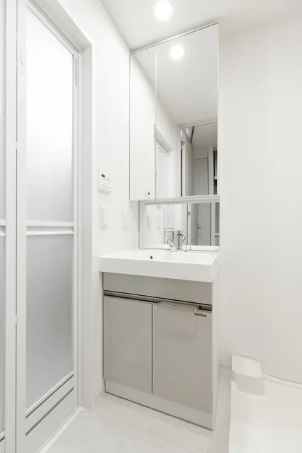 Terrace Tsukishima - Interior - ["Mirror", "Sink", "Tap"]
