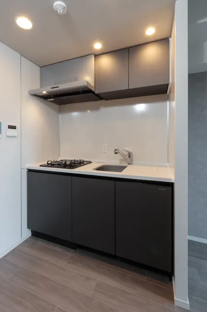 Terra Silk Forest - Interior - ["Kitchen", "Countertop", "Major appliance"]