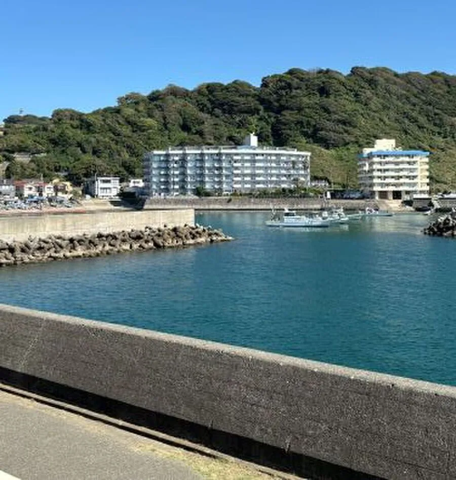 Tokyu Doel Ars Zushi Wing Coast