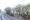 GranDuo Kyodo 15 - Interior - ["Road surface", "Branch", "Road"] thumbnail