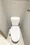 The Grand Blossom - Interior - ["Toilet seat", "Toilet", "Plumbing fixture"] thumbnail