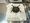GRACE Omori - Interior - ["Kitchen stove", "Gas stove", "Major appliance"] thumbnail