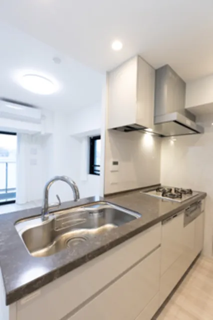 Livio Kitashinagawa Riverside Terrace - Interior - ["Kitchen sink", "Countertop", "Sink"]