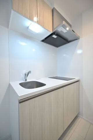 The Residence Nihonbashi - Interior - ["Floor", "Apartment", "Ceiling"]