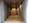 IVY WEST - Exterior - ["Building", "Ceiling", "Architecture"] thumbnail
