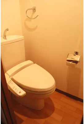 Dolce Kyobashi Ichibankan - Interior - ["Toilet seat", "Toilet", "Plumbing fixture"]