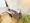 Mynavi STAY Tachiaigawa 2 - Interior - ["Furniture", "Flooring", "Wood"] thumbnail