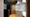 Hmlet Shibuya Ohashi - Interior - [] thumbnail