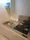 Y Square - Interior - ["Major appliance", "Floor", "Apartment"] thumbnail