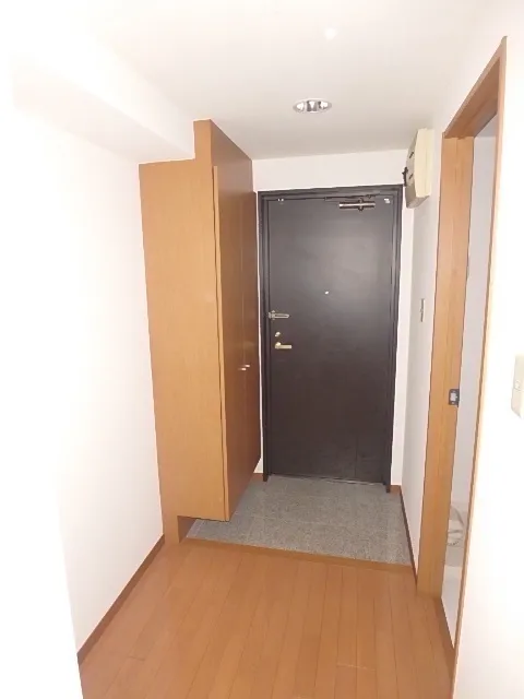 Will Terrace Shindaita - Interior - ["Wood", "Flooring", "Floor"]