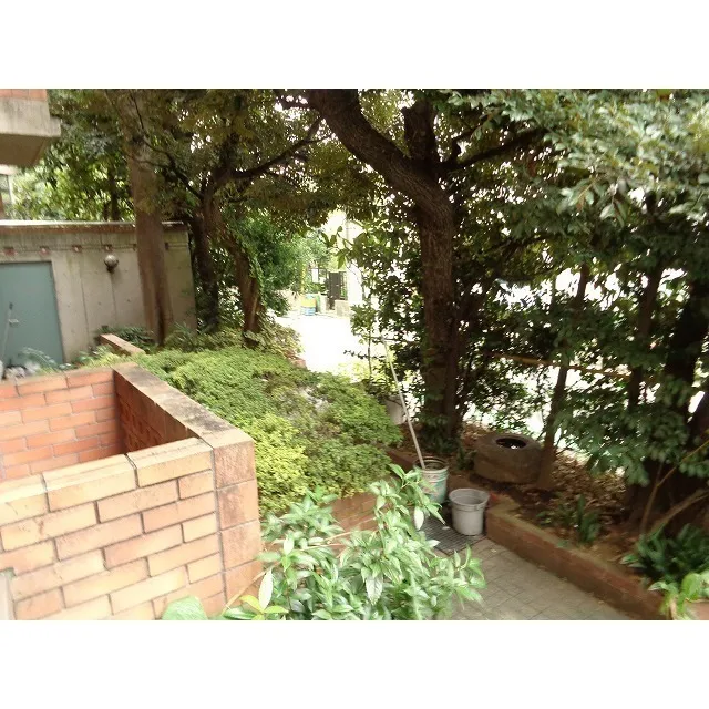 Meguro LFV - Interior - ["Property", "Tree", "Wall"]