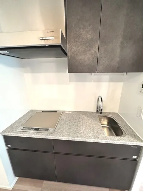 Baus Flats Nihonbashi Hamacho - Interior - ["Cabinetry", "Kitchen sink", "Property"]