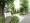 KDX Residence Yotsuya - Exterior - ["Vegetation", "Tree", "Property"] thumbnail