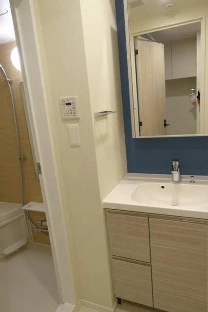 Park Axis Kinshicho West - Interior - ["Mirror", "Bathroom cabinet", "Cabinetry"]