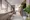 Brilia ist Asakusa - Exterior - [] thumbnail