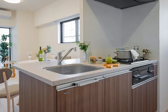 Prince Asylee Court - Interior - ["Kitchen", "Kitchen Sink", "Countertop"]