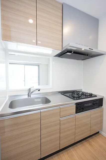 Stellar Terrace - Interior - ["Kitchen", "Kitchen Sink", "Wood"]