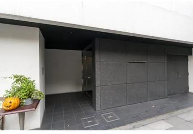 Urban Cube Kudan Minami - Exterior - ["Plant", "Houseplant", "Asphalt"]