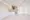 Comforia Liv Bunkyo Gokokuji - Interior - ["Flooring", "Floor", "Wood"] thumbnail