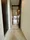 RESIDIA Monzen-Nakacho Place - Interior - ["Flooring", "Floor", "Interior design"] thumbnail