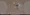 Residia Mejiro - Interior - ["Ceiling", "Property", "Room"] thumbnail