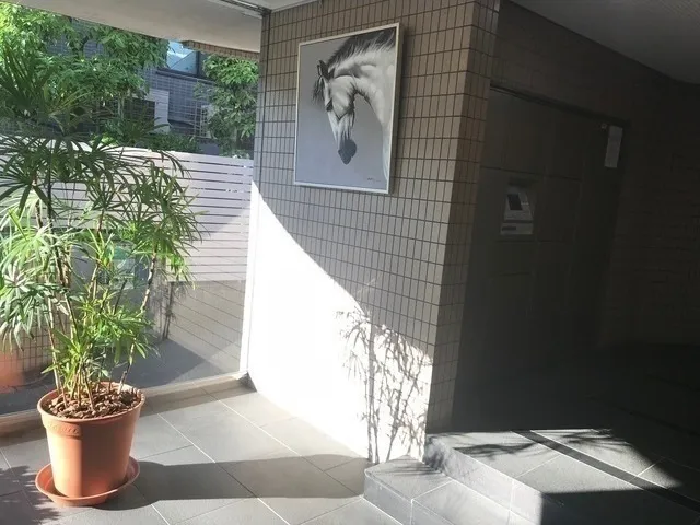 Duet Metropolitan University - Exterior - ["Plant", "Houseplant", "Flowerpot"]