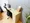 Mynavi STAY Gran Sotokanda Homes - Interior - [] thumbnail