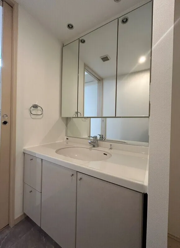 Esty Maison Shirokanedai - Interior - ["Bathroom Sink", "Plumbing fixture", "Flooring"]