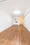 Nikko Palace Azabu Tanukiana - Interior - ["Flooring", "Floor", "Wood flooring"] thumbnail