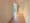 Storia Ibaraki - Interior - ["Flooring", "Floor", "Wood flooring"] thumbnail