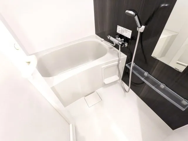 KDX Residence Toyosu - Interior - ["Bathtub", "Plumbing fixture", "Flooring"]