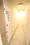 Prime Urban Ikebukuro - Other - ["Flooring", "Floor", "Apartment"] thumbnail