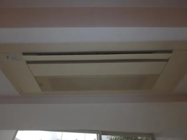 Selfista Shibuya - Interior - ["Wood", "Flooring", "Ceiling"]