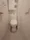 Brookside Residence Kiba - Interior - ["Toilet seat", "Flooring", "Toilet"] thumbnail