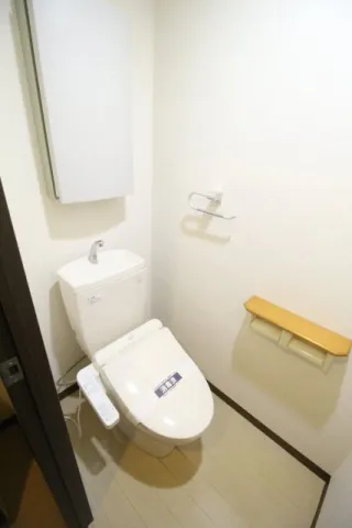 Luxury Apartment East Nihonbashi - Interior - ["Flooring", "Floor", "Plumbing fixture"]