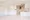 Comforia Liv Bunkyo Gokokuji - Interior - ["Flooring", "Floor", "Wood"] thumbnail