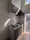 Arika Omori 1 - Interior - ["Kitchen", "Major appliance", "Kitchen Appliance"] thumbnail