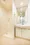 Park Axis Takinogawa - Interior - ["Flooring", "Floor", "Interior design"] thumbnail