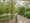 Across Meguro Tower - Other - ["Plant", "Building", "Tree"] thumbnail