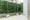 Plage Liu Oshiage - Interior - ["Plant", "Building", "Grass"] thumbnail