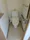 El Grampia - Interior - ["Toilet seat", "Plumbing fixture", "Toilet"] thumbnail
