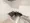 Toggle Otsuka Lerion - Interior - [] thumbnail