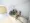 Demes Kuramae - Exterior - ["Flooring", "Floor", "Bicycle frame"] thumbnail