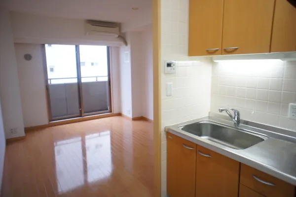 The Apartment Hill Top Nakano - Interior - ["Kitchen sink", "Sink", "Property"]