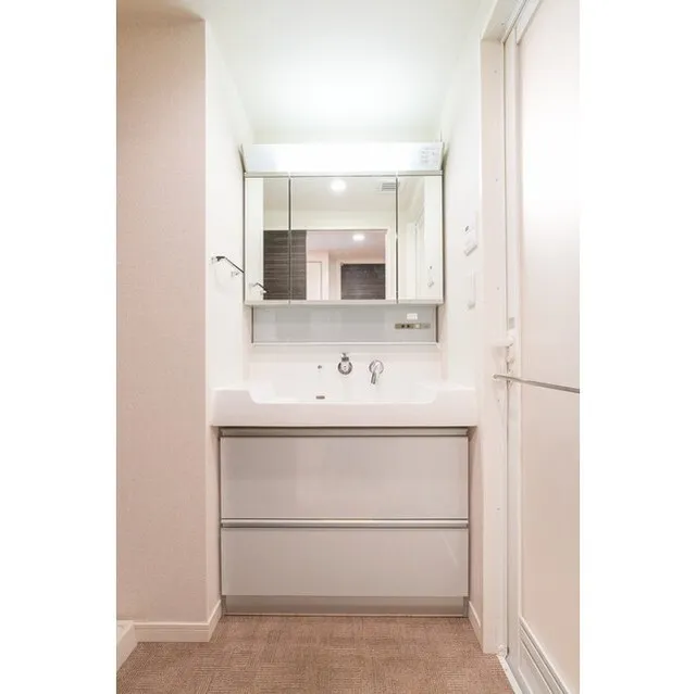Orchid Residence Shinagawa - Interior - ["Mirror", "Cabinetry", "Bathroom cabinet"]