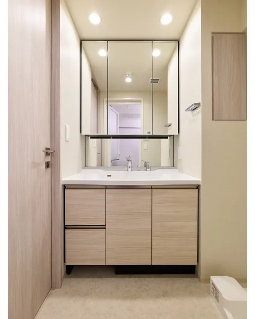 Comforia Liv Nishioshima SOUTH - Interior - ["Flooring", "Bathroom cabinet", "Floor"]