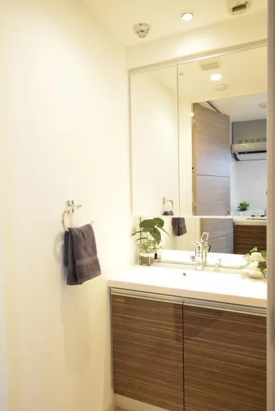 Lithia Nakano Shimbashi - Interior - ["Bathroom Sink", "Bathroom cabinet", "Plumbing fixture"]