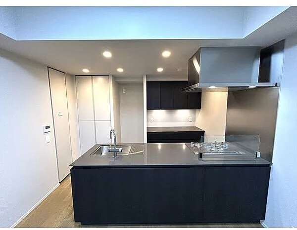 The Parkhouse Chiyoda Rokubancho - Interior - ["Kitchen", "Countertop", "Kitchen Appliance"]