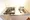 Groban Itabashi - Interior - ["Brown", "Property", "Kitchen sink"] thumbnail